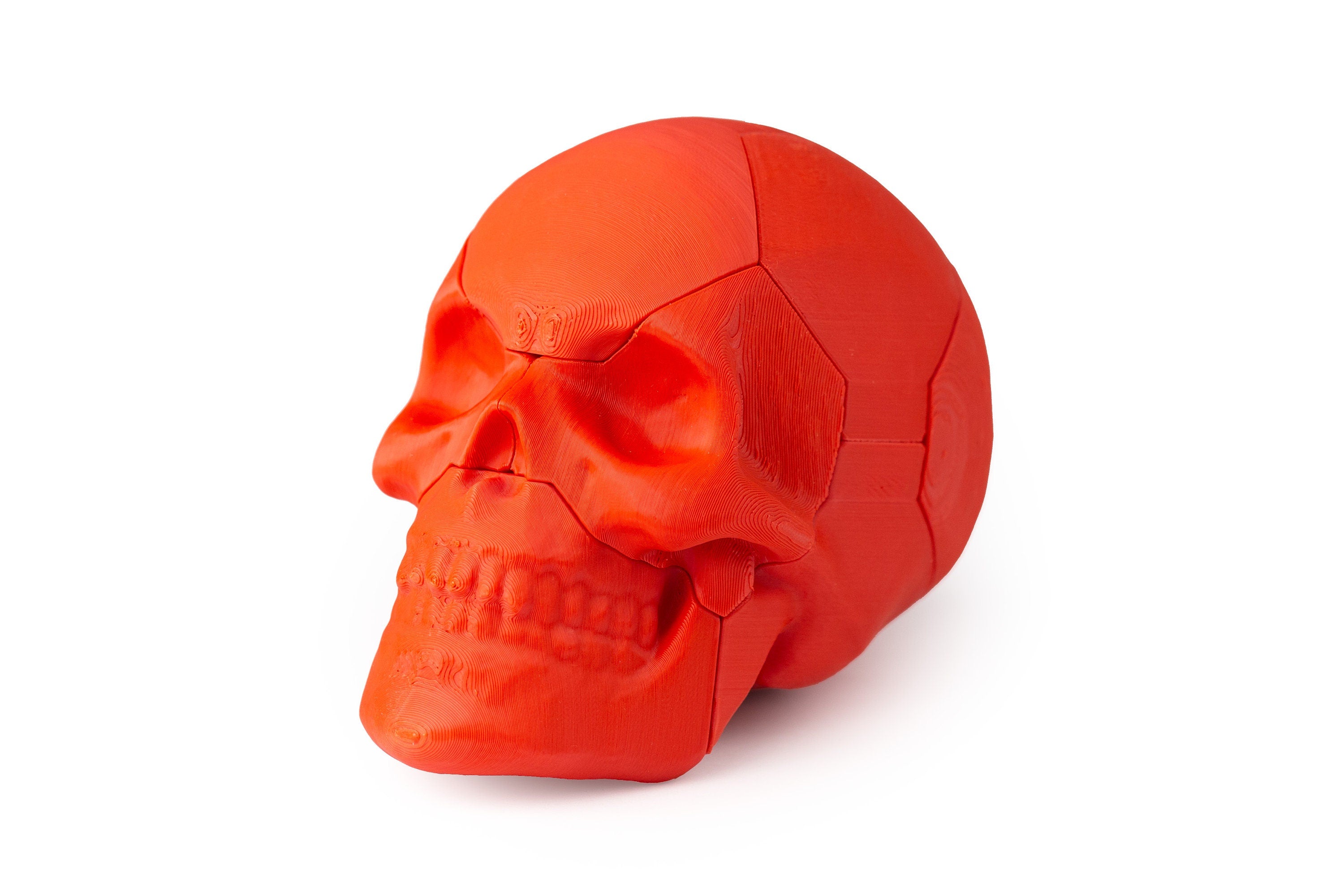 Six piece Skull puzzle