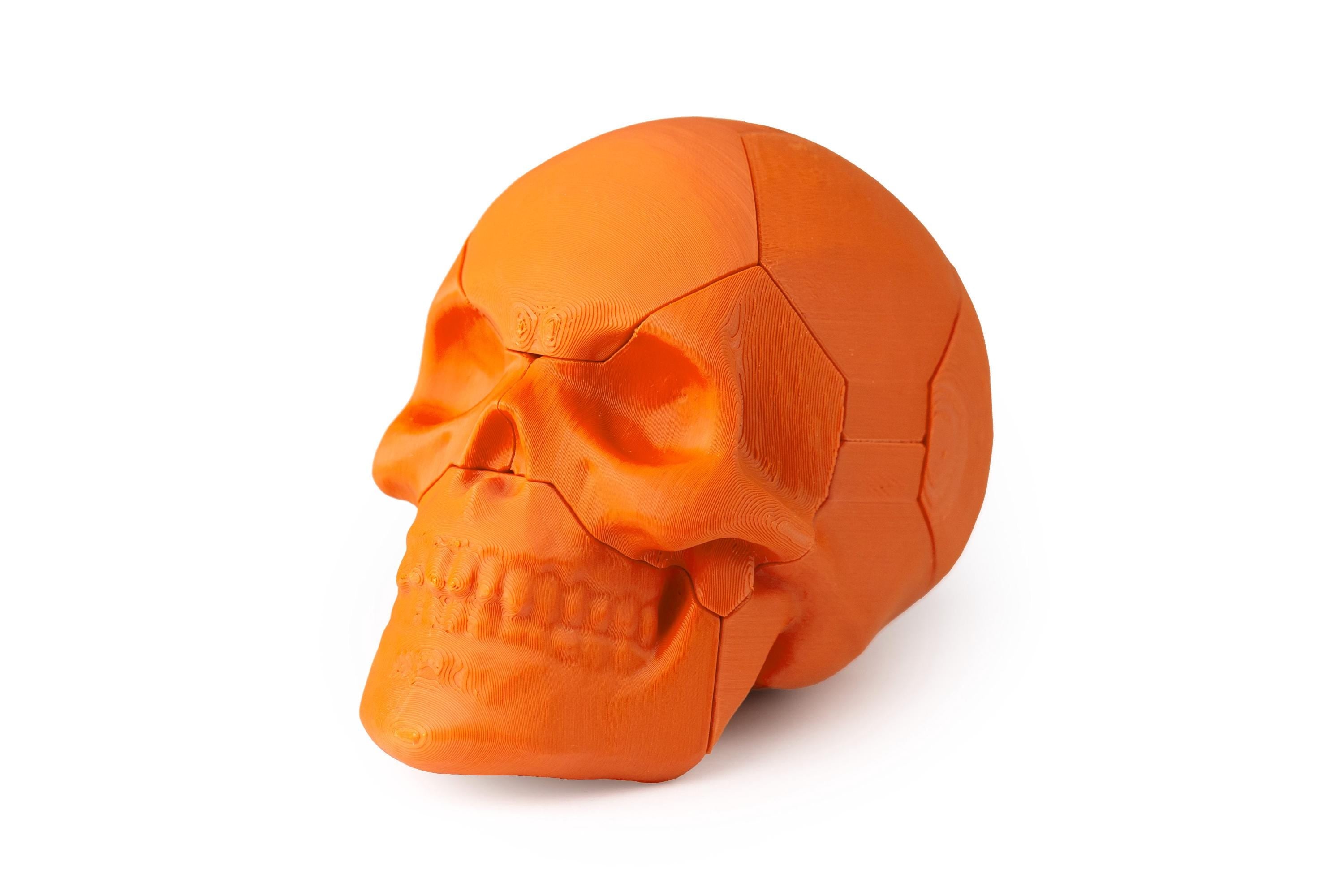Six piece Skull puzzle