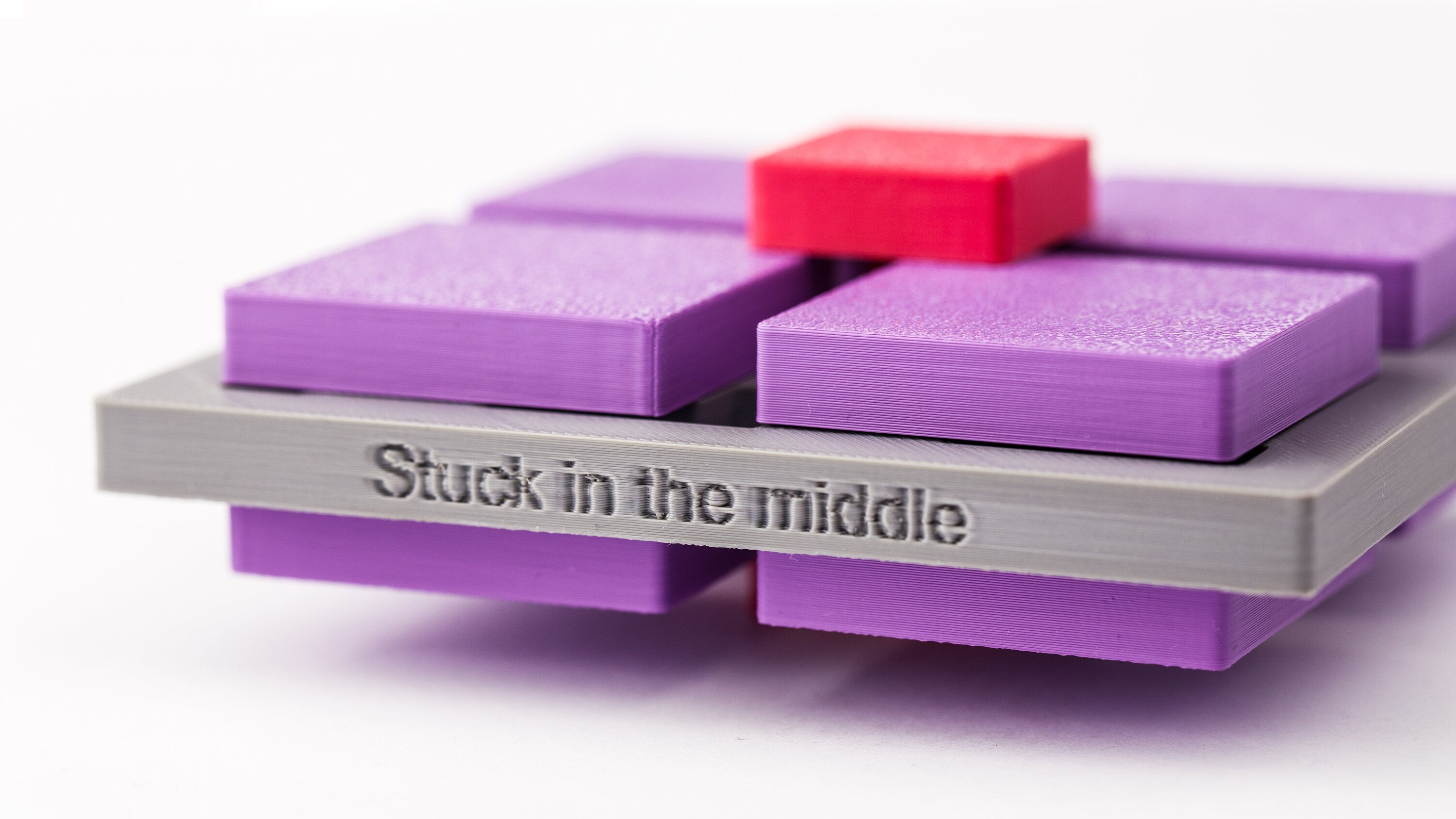 Stuck in the middle. 3d printed puzzle.