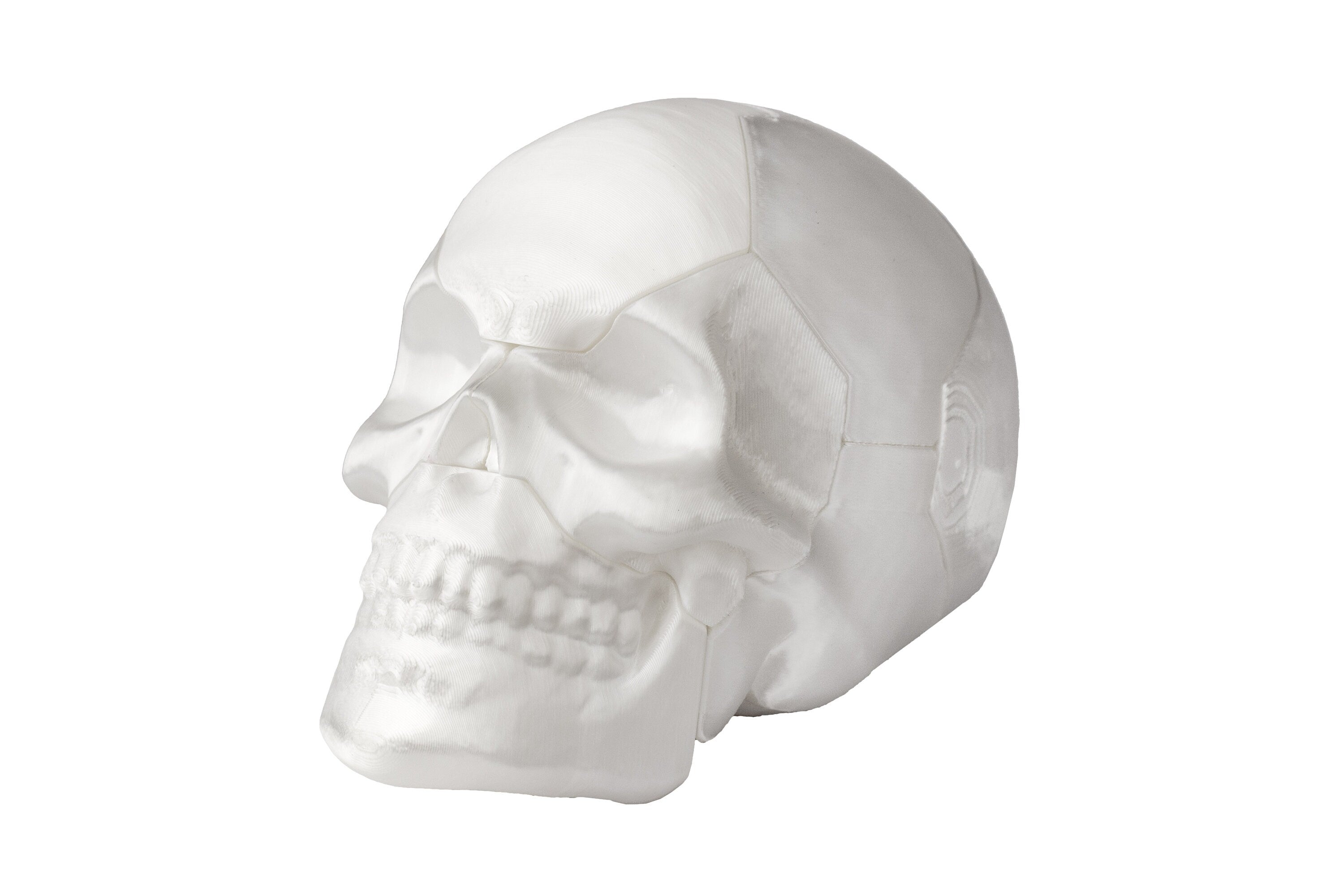 Six piece Skull puzzle