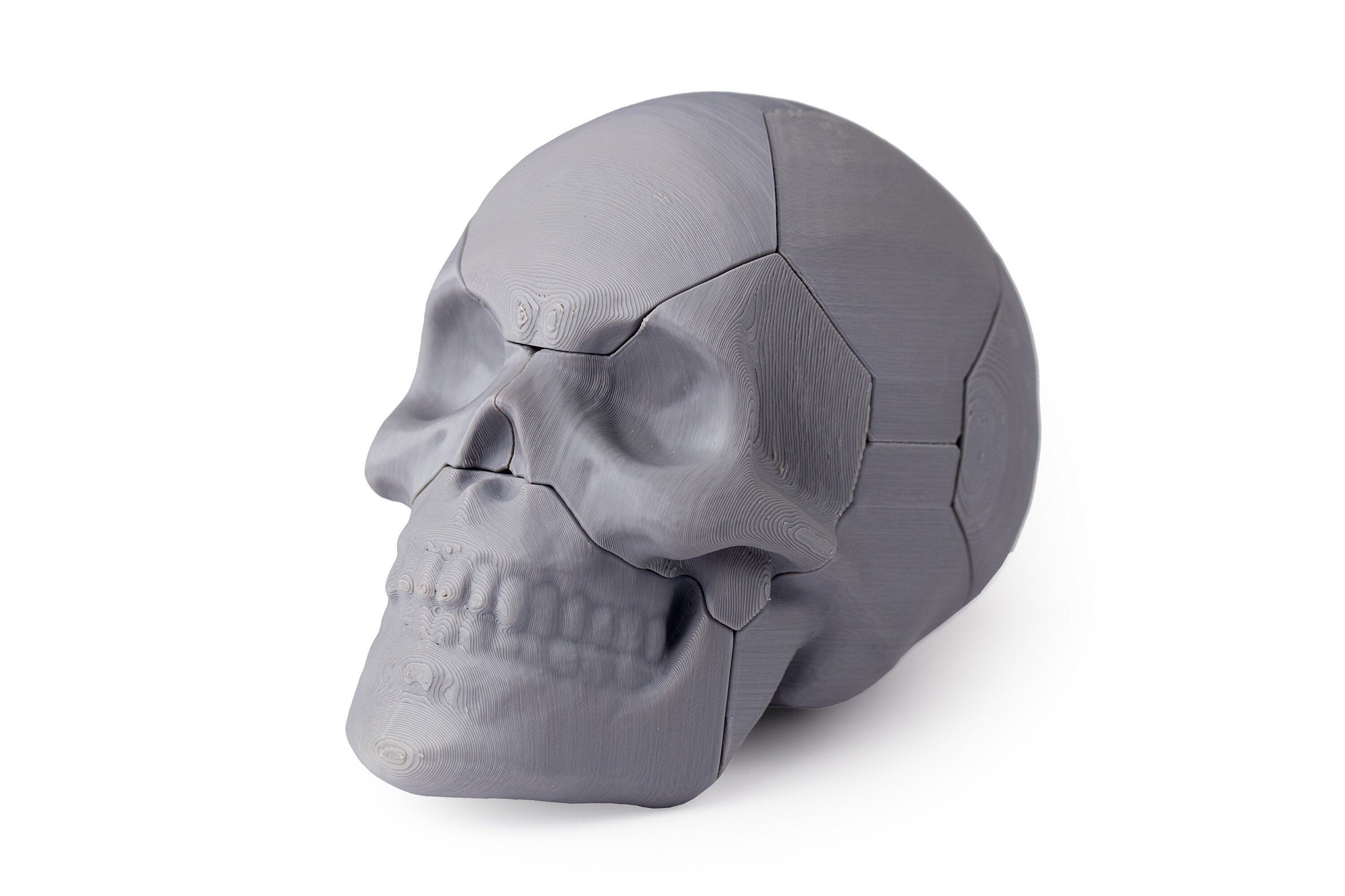 Six piece Skull puzzle